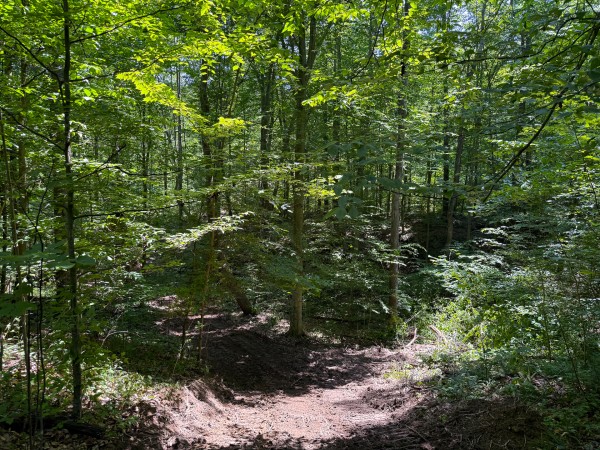 Tract 3 at Wolf Hill Estates property photo