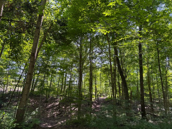 Tract 3 at Wolf Hill Estates property photo