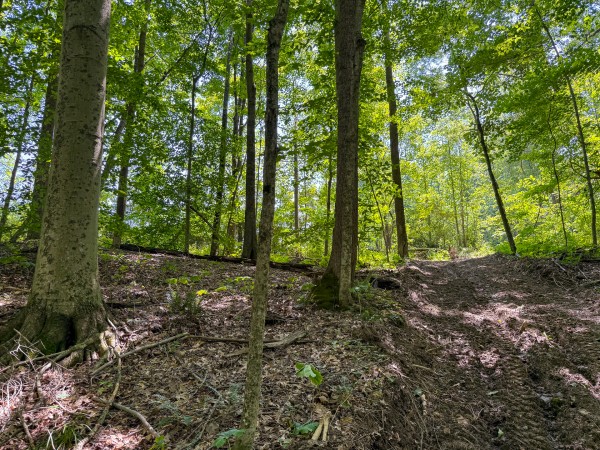 Tract 3 at Wolf Hill Estates property photo