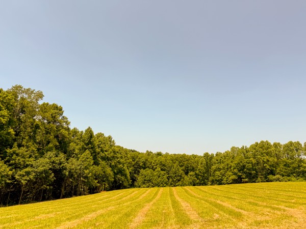 Tract 3 at Wolf Hill Estates property photo