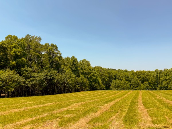 Tract 3 at Wolf Hill Estates property photo