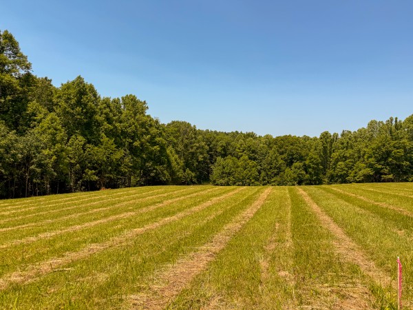 Tract 3 at Wolf Hill Estates property photo