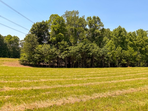 Tract 3 at Wolf Hill Estates property photo