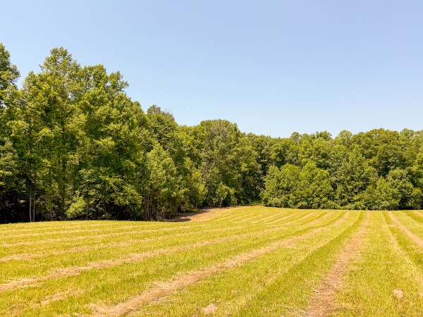 Tract 3 at Wolf Hill Estates property photo