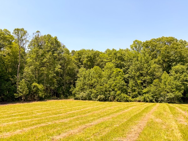Tract 3 at Wolf Hill Estates property photo
