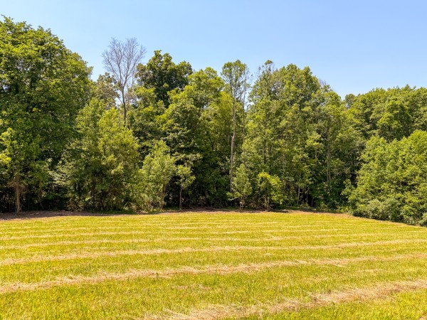 Tract 3 at Wolf Hill Estates property photo