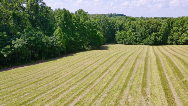 More of Tract 3 at Wolf Hill Estates