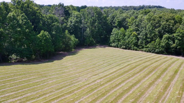 More of Tract 3 at Wolf Hill Estates