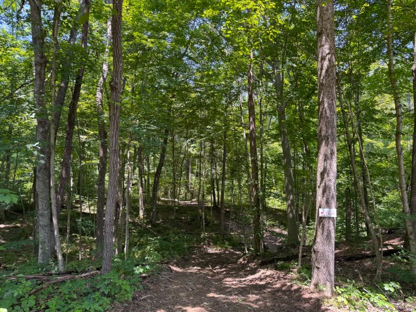Tract 3 at Wolf Hill Estates property photo