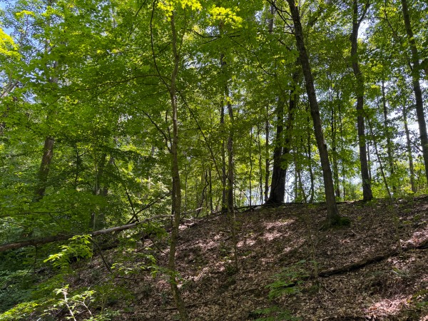 Tract 3 at Wolf Hill Estates property photo