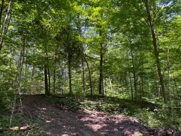Tract 3 at Wolf Hill Estates property photo