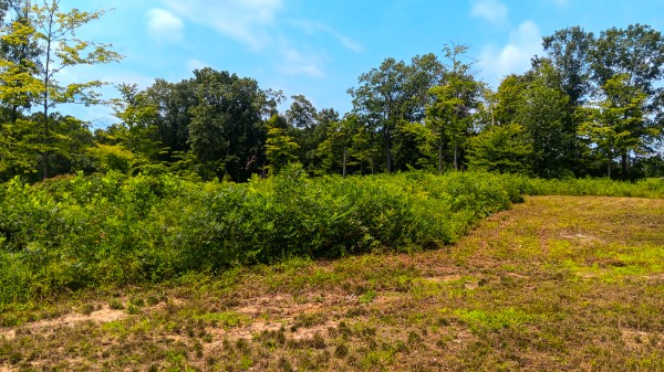 Hunters Haven on Huston Rd property photo