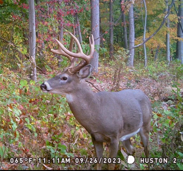 Hunters Haven on Huston Rd property photo