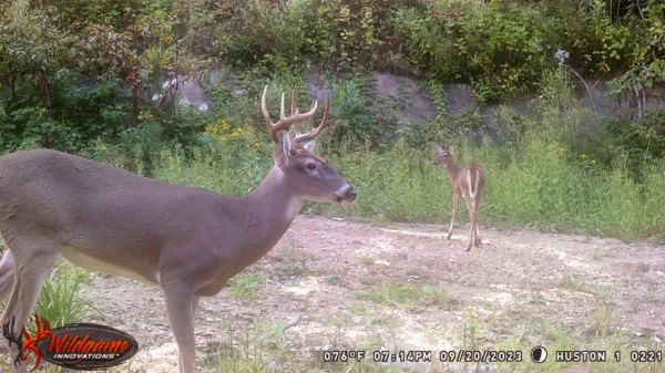 Hunters Haven on Huston Rd property photo
