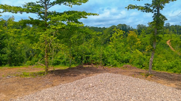 Hunters Haven on Huston Rd property photo