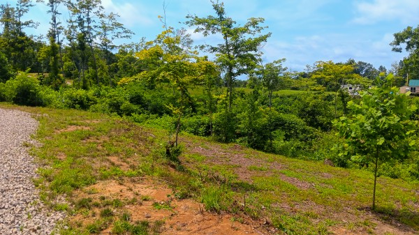 Hunters Haven on Huston Rd property photo