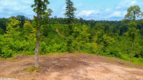 Hunters Haven on Huston Rd property photo