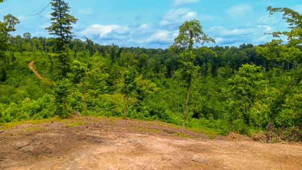 Hunters Haven on Huston Rd property photo