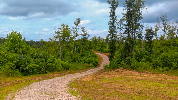 More of Hunters Haven on Huston Rd