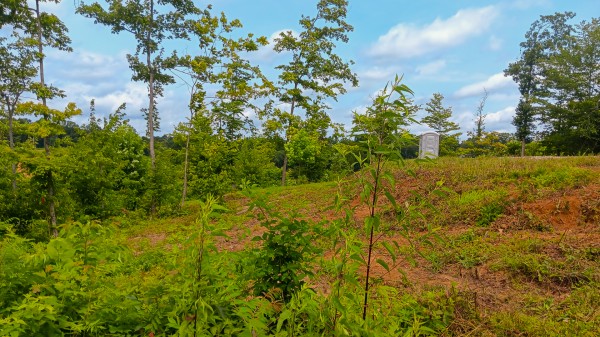 Hunters Haven on Huston Rd property photo