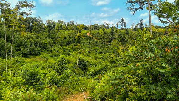 Hunters Haven on Huston Rd property photo