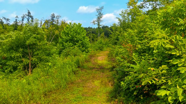 Hunters Haven on Huston Rd property photo