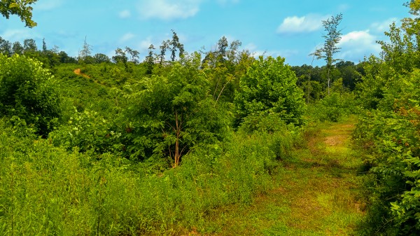 Hunters Haven on Huston Rd property photo
