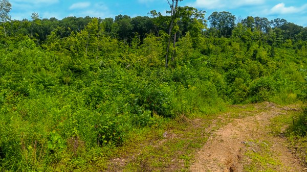 Hunters Haven on Huston Rd property photo