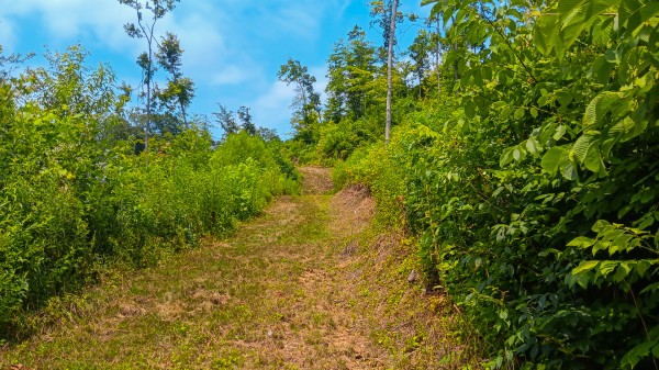 Hunters Haven on Huston Rd property photo