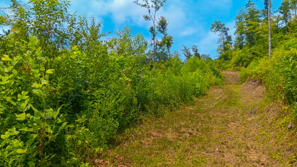 Hunters Haven on Huston Rd property photo