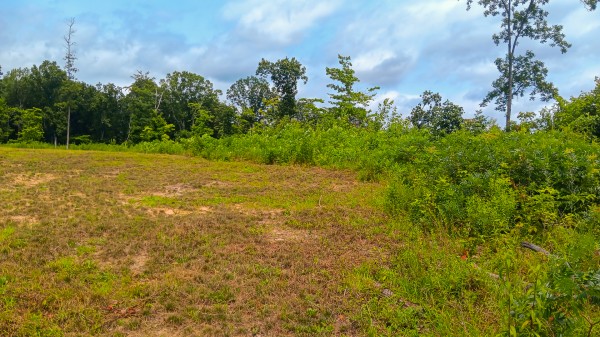 Hunters Haven on Huston Rd property photo