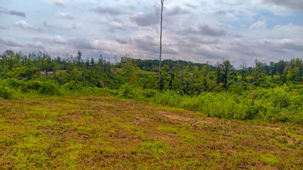 Hunters Haven on Huston Rd property photo
