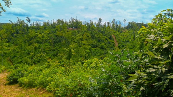 Hunters Haven on Huston Rd property photo