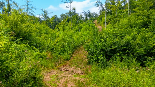 Hunters Haven on Huston Rd property photo