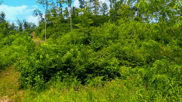 Hunters Haven on Huston Rd property photo