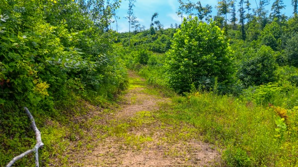 Hunters Haven on Huston Rd property photo