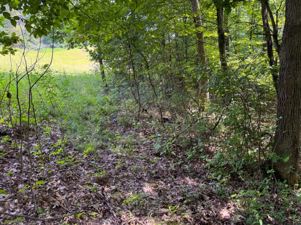 Lot L - The Woods at Flint Ridge property photo