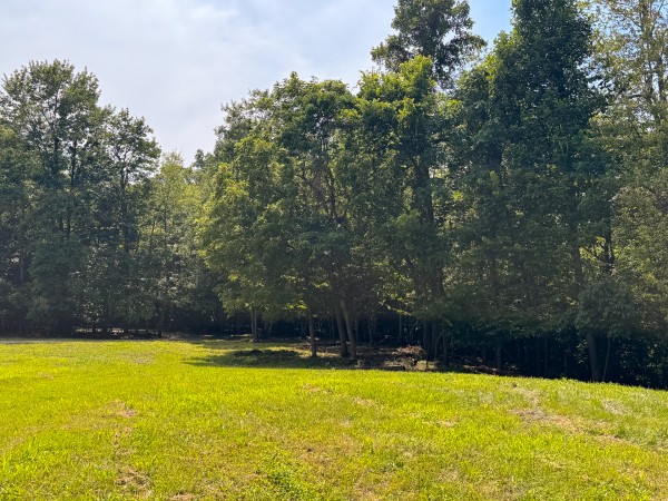 Lot L - The Woods at Flint Ridge property photo