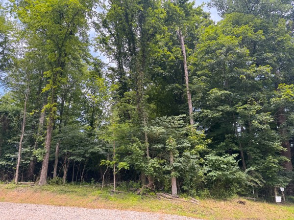 Lot L - The Woods at Flint Ridge property photo