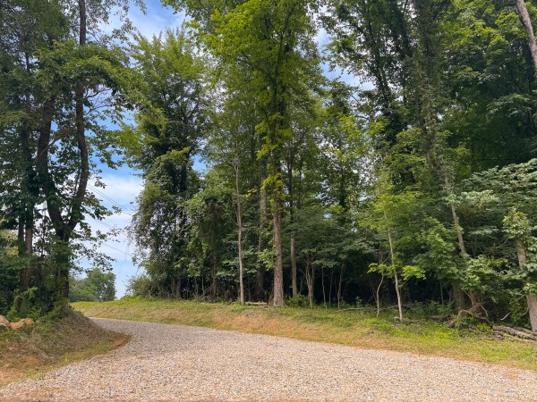 Lot L - The Woods at Flint Ridge property photo