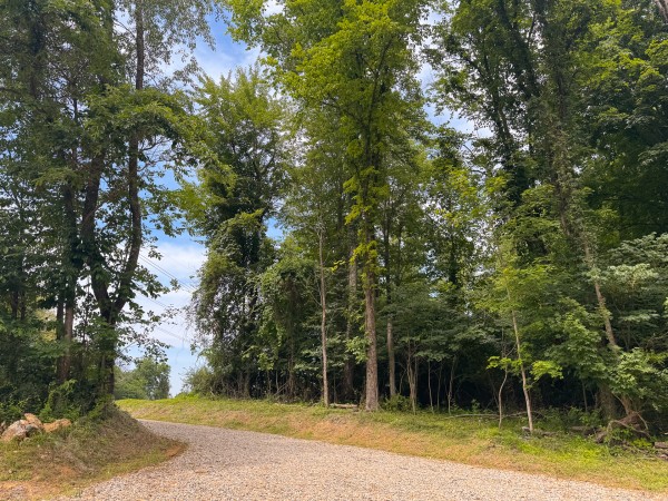 More of Lot L - The Woods at Flint Ridge