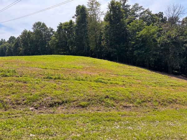 Lot L - The Woods at Flint Ridge property photo