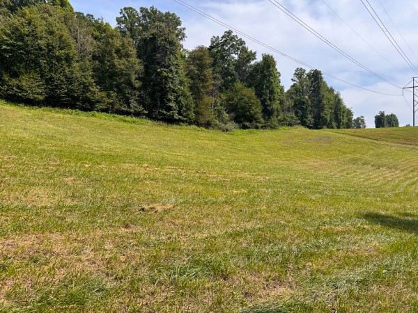 Lot L - The Woods at Flint Ridge property photo