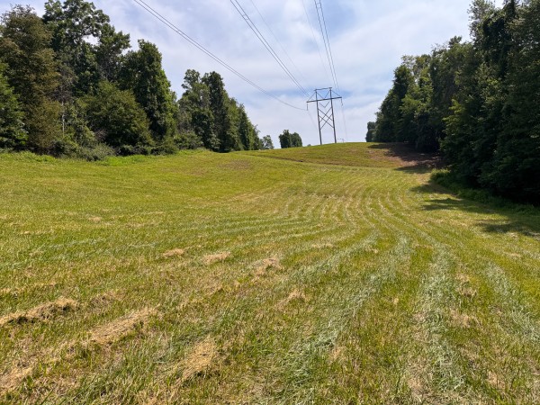 Lot L - The Woods at Flint Ridge property photo
