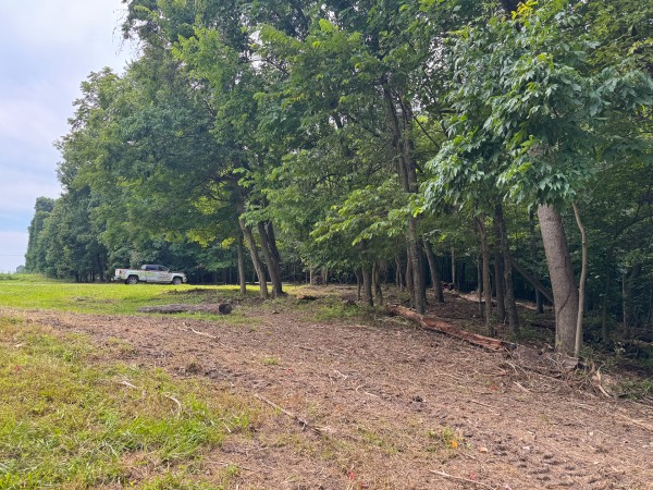 More of Lot L - The Woods at Flint Ridge