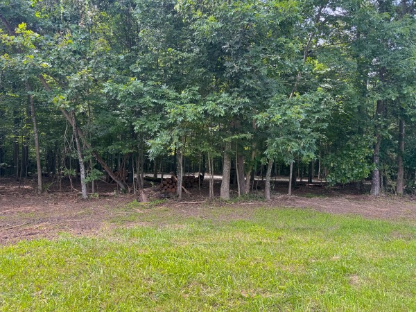 Lot L - The Woods at Flint Ridge property photo