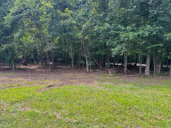 Lot L - The Woods at Flint Ridge property photo
