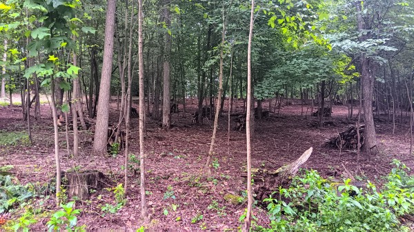 Lot J - The Woods at Flint Ridge property photo