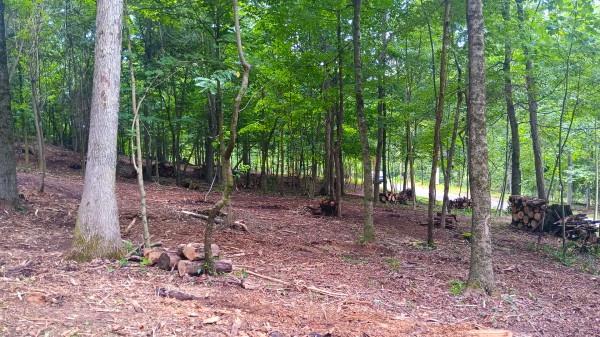 Lot J - The Woods at Flint Ridge property photo