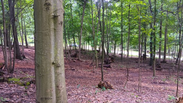Lot J - The Woods at Flint Ridge property photo